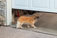 Garage door safety